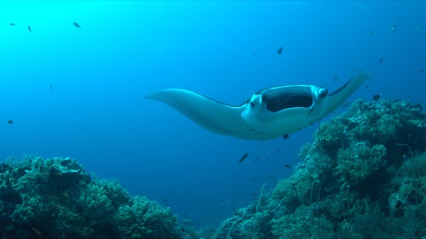 Tumbatu Lagoon