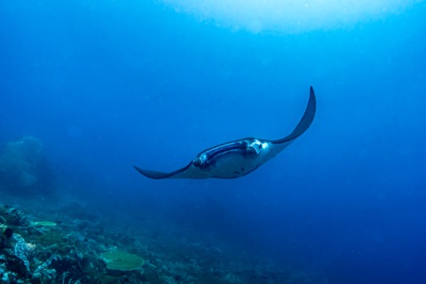 Deep Corner