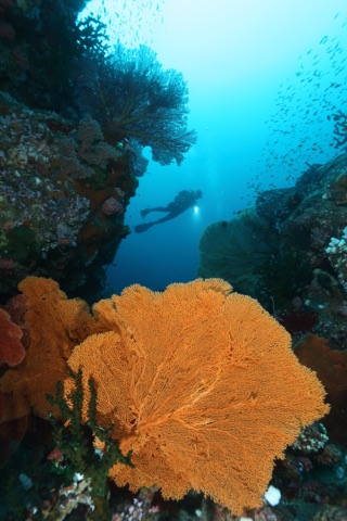 Channel Rock