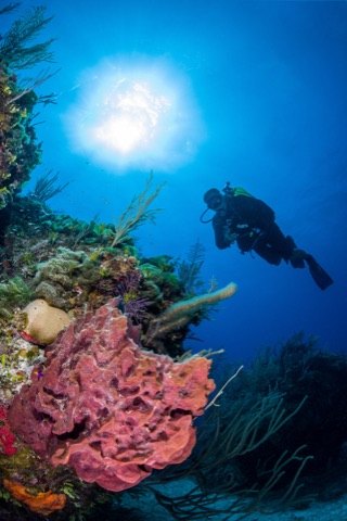Aguadilla