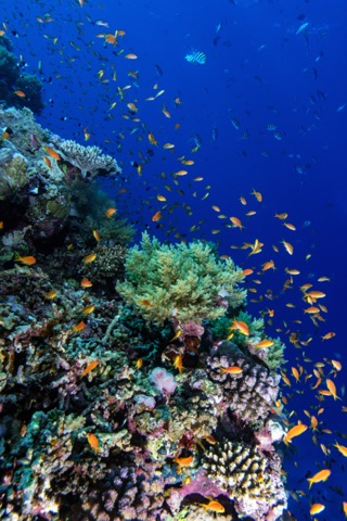 2MAI Diving Point