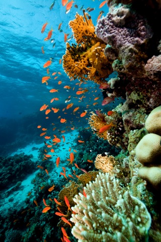 Ammo Jetty