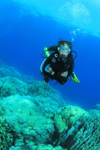 ABC House Reef