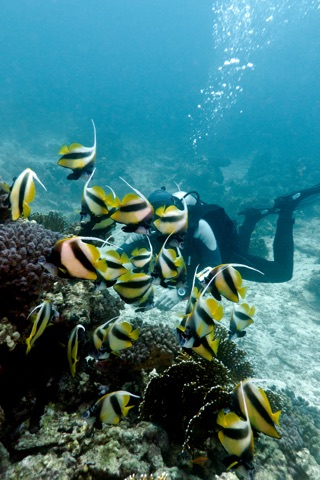 Akirifushi Kandu
