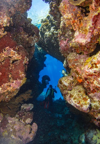 DG Beachfront Dive Site