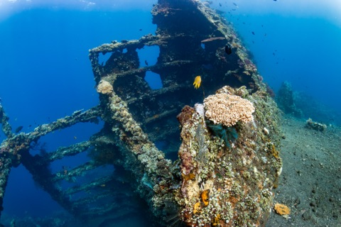 Kudimaa (Wreck)