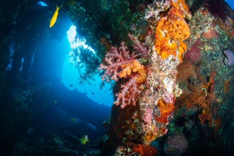 Al Munassir Wreck