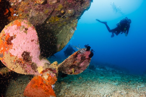 Navigator Wreck