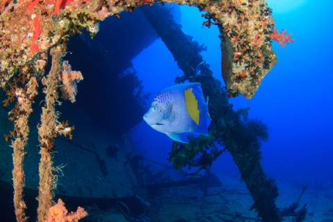 HTMS Chang Wreck