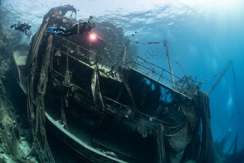 Chip Chip Wreck