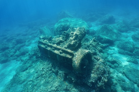 Douglas SBD Dauntless (Wreck)