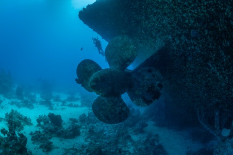 U-455