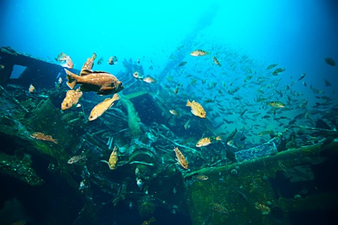 Tapilon Wreck