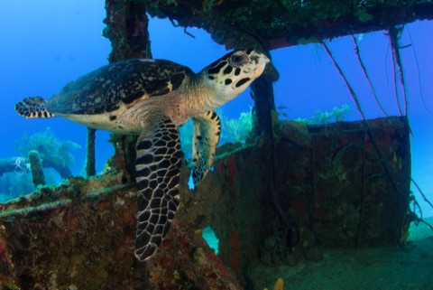 Yong Hua Wreck