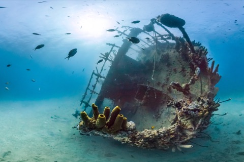Alice B (Wreck)