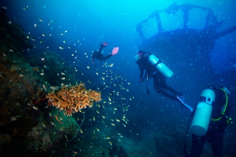 The Gorgonian (Wreck)