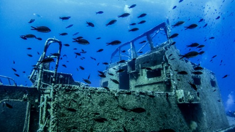 ARM Santos Wreck