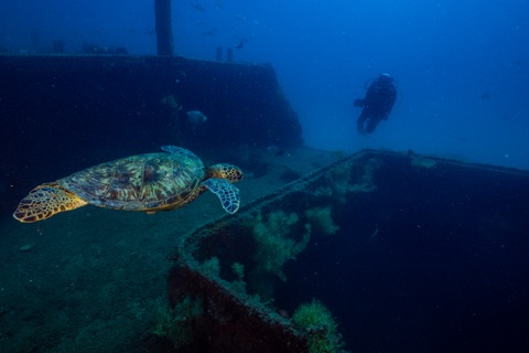 YO-257 (Wreck)