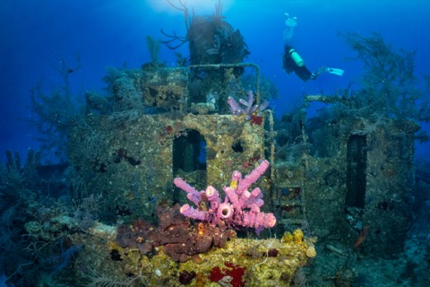 Odyssey (Wreck)