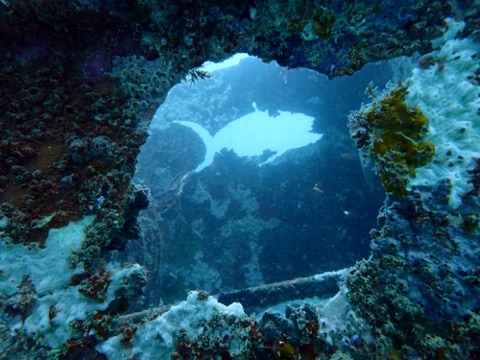 Azumasan Maru