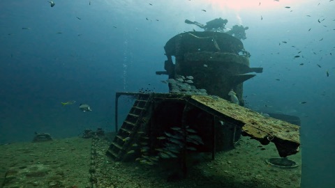 Tribird Plane Wreck