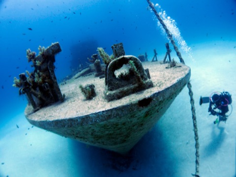 Mimosa Wreck