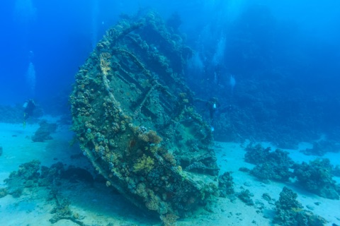 Vought F4U Corsair (Wreck)