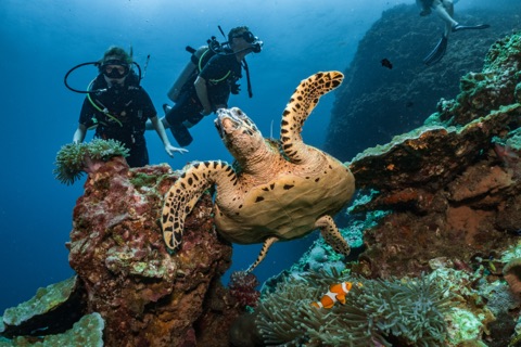 Aquarium
