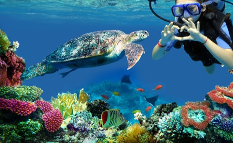 Pescador South